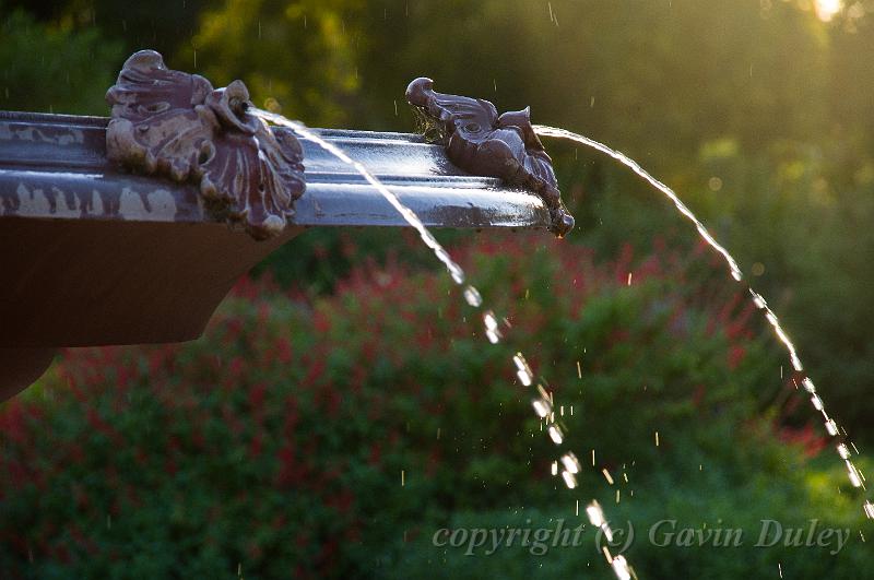 Fountain, evening light, Adelaide Botanic Gardens IMGP8858.jpg